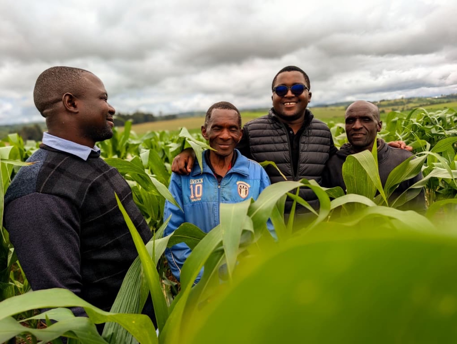 Shambani Heritage team with farmers in a maize field